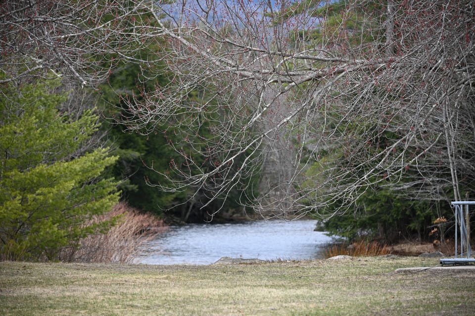 River View