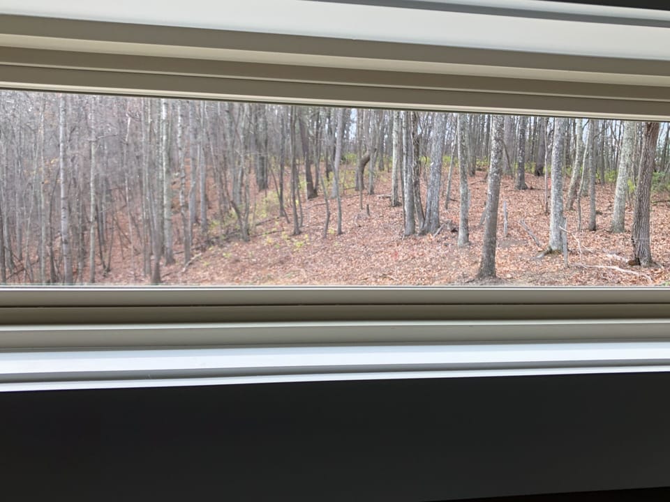 master bed room window above bed