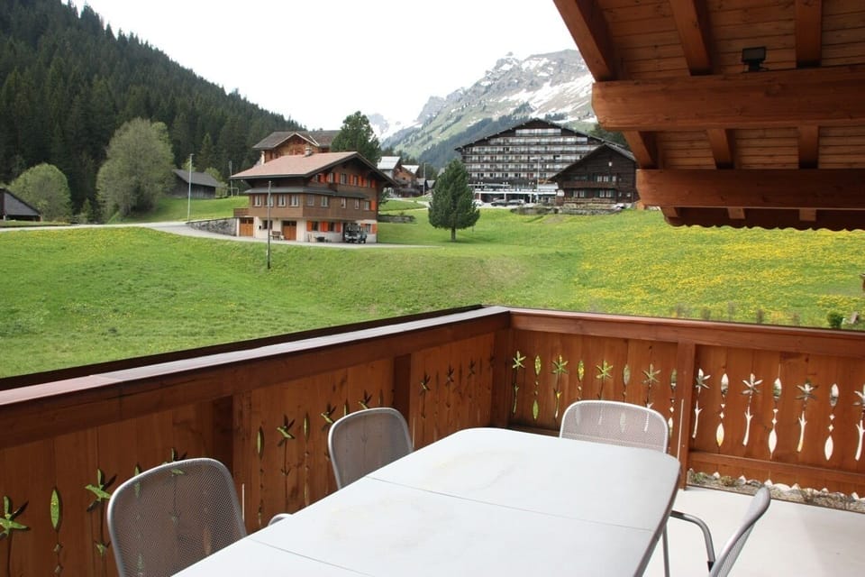 Edelweiss B31, Morgins (221)