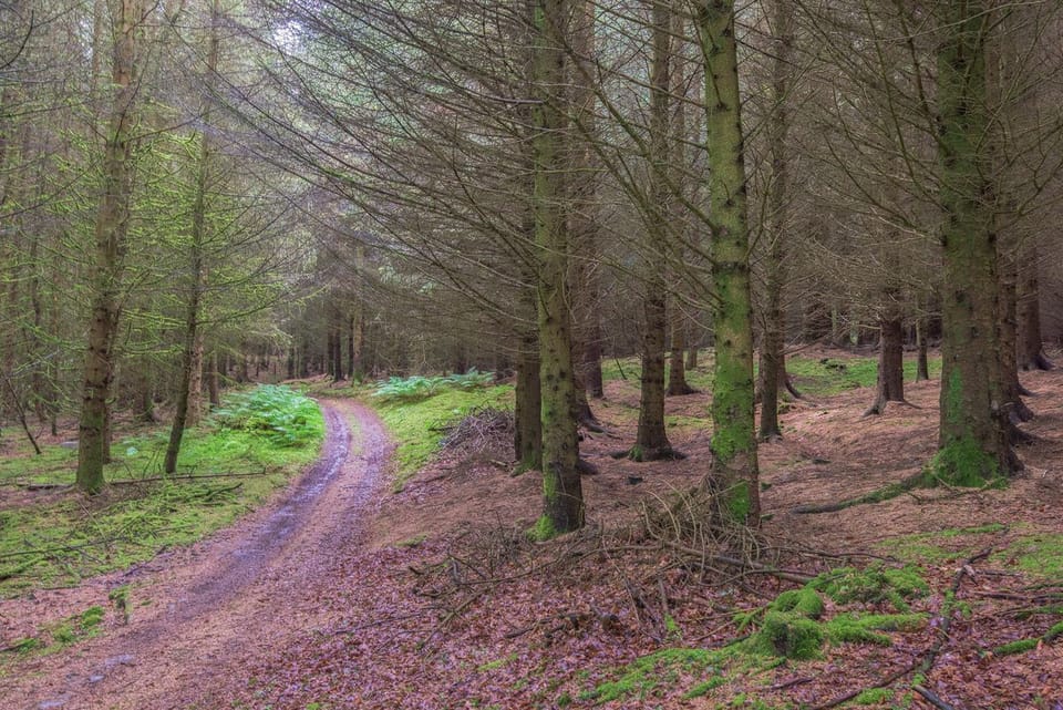 Gardener's Cottage - Craik Forest