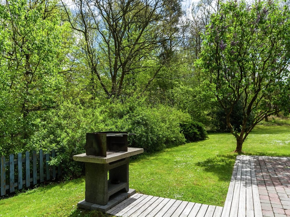Garden [summer]
