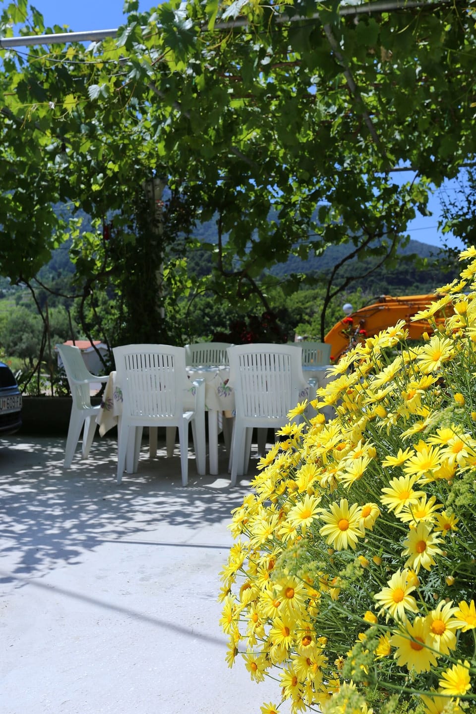 Courtyard