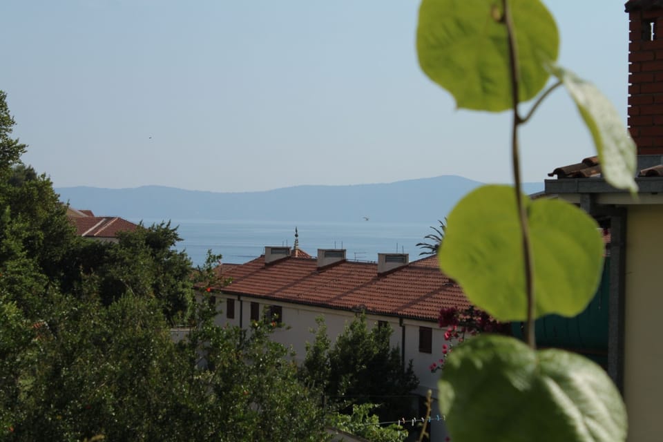 Terrace 2
