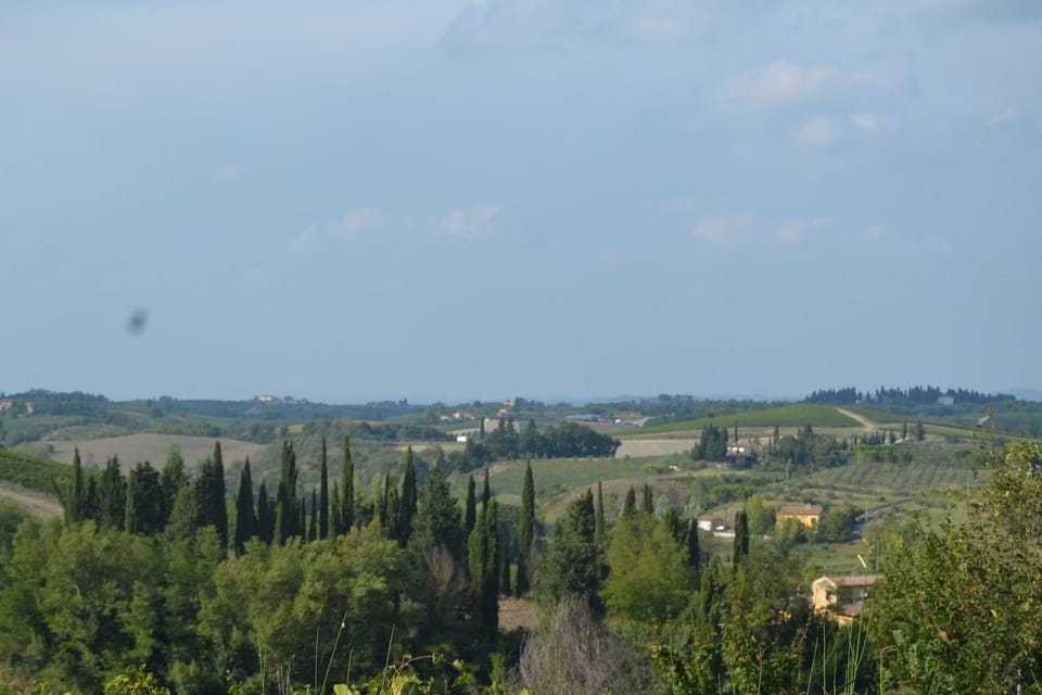 Scenic View