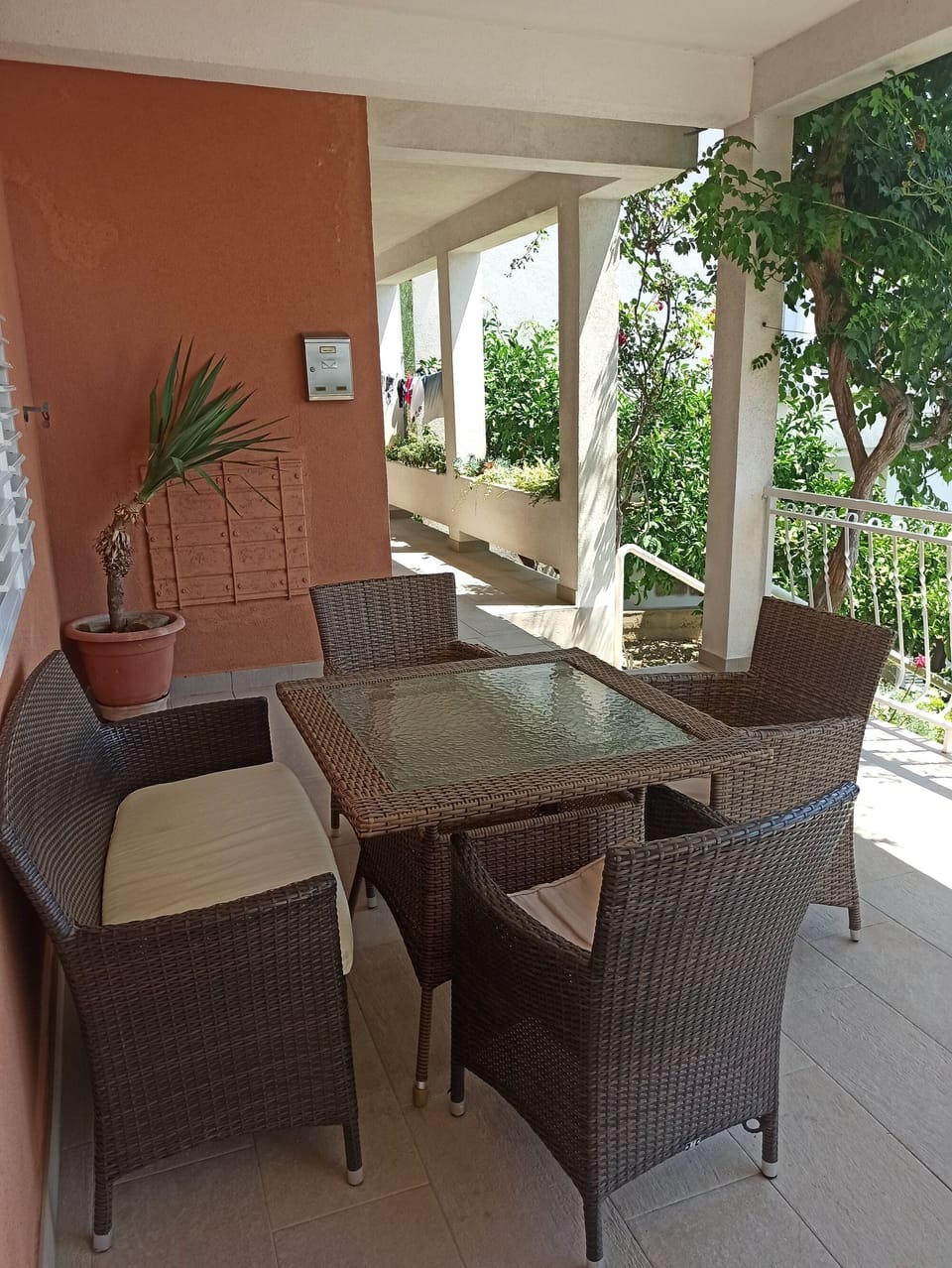 Terrace