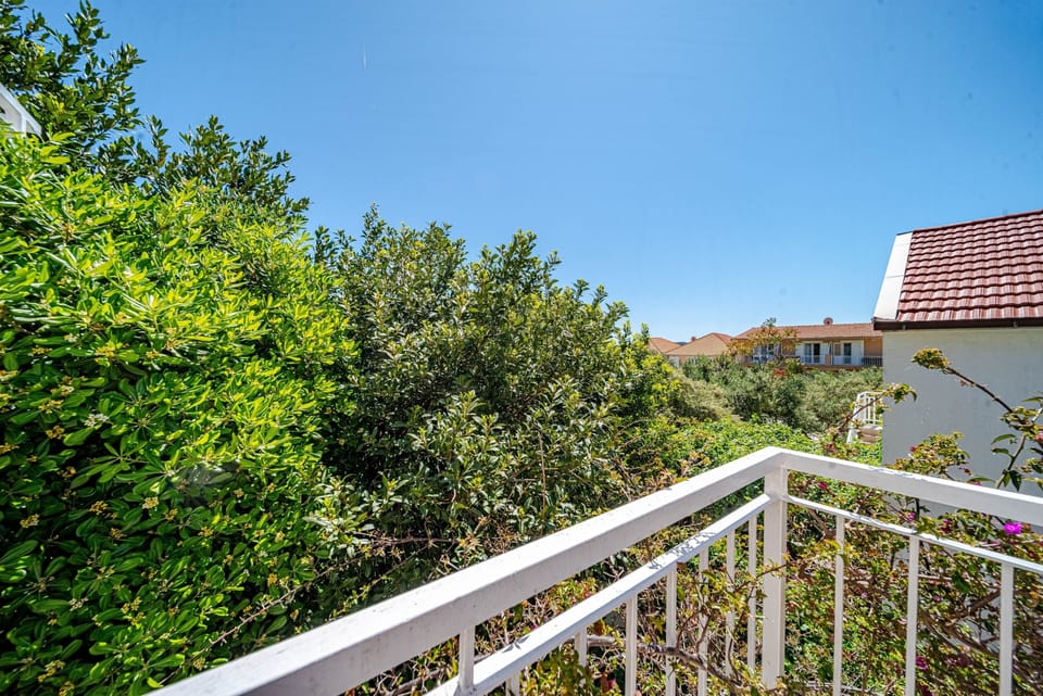 Terrace 1
