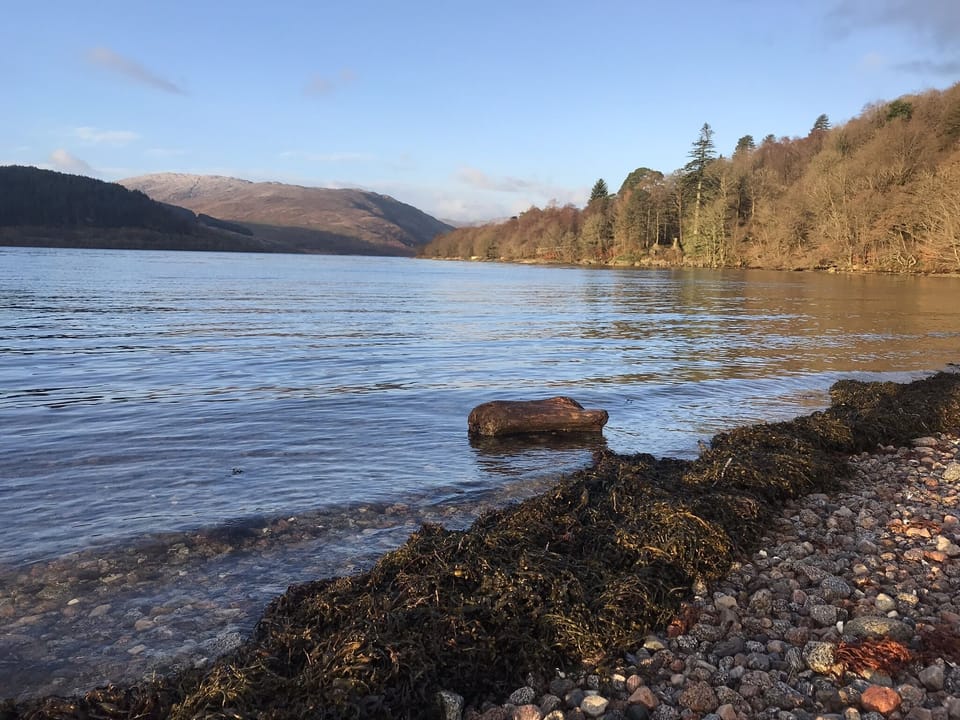 Morning walk to loch from cottage