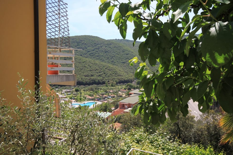 Terrace 1