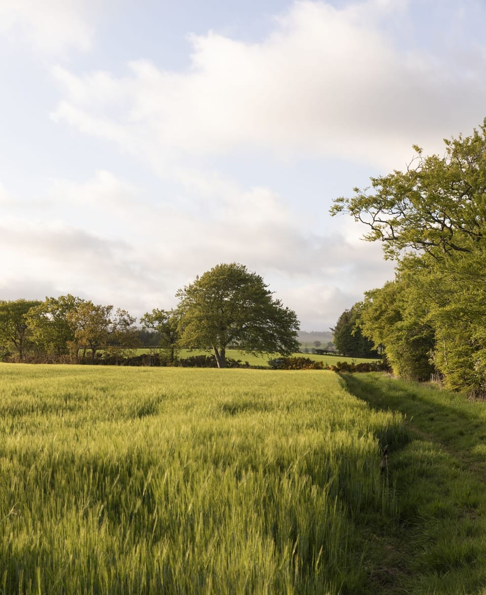The Heritage - the peaceful borders countryside
