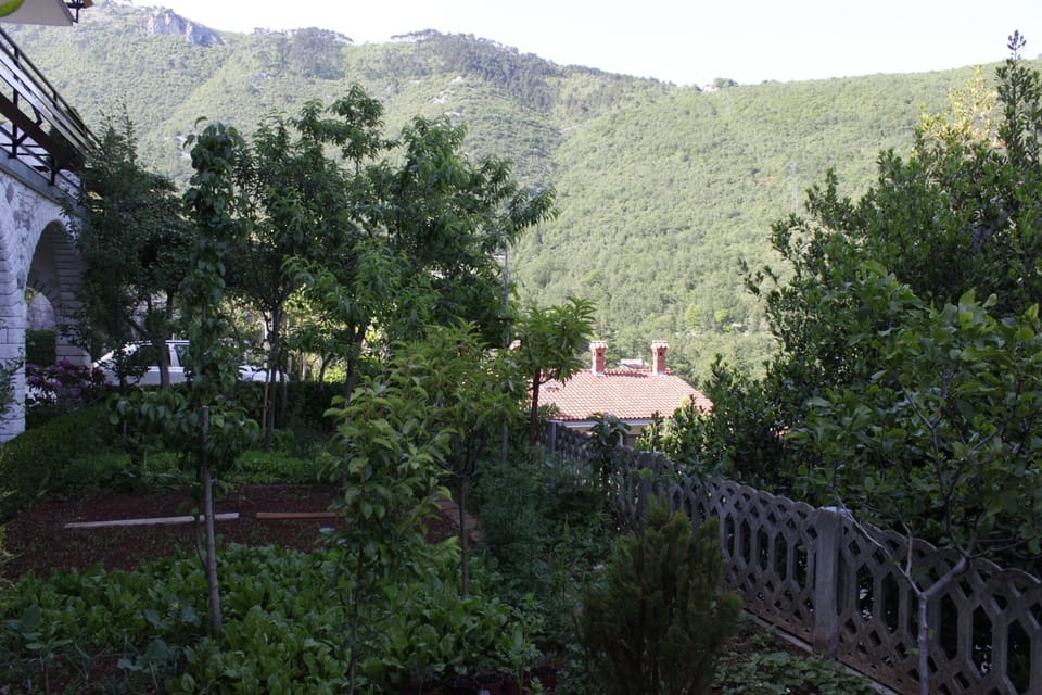 Terrace 1