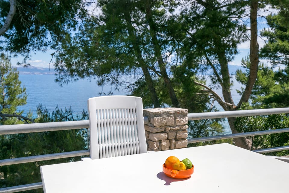 Terrace 1