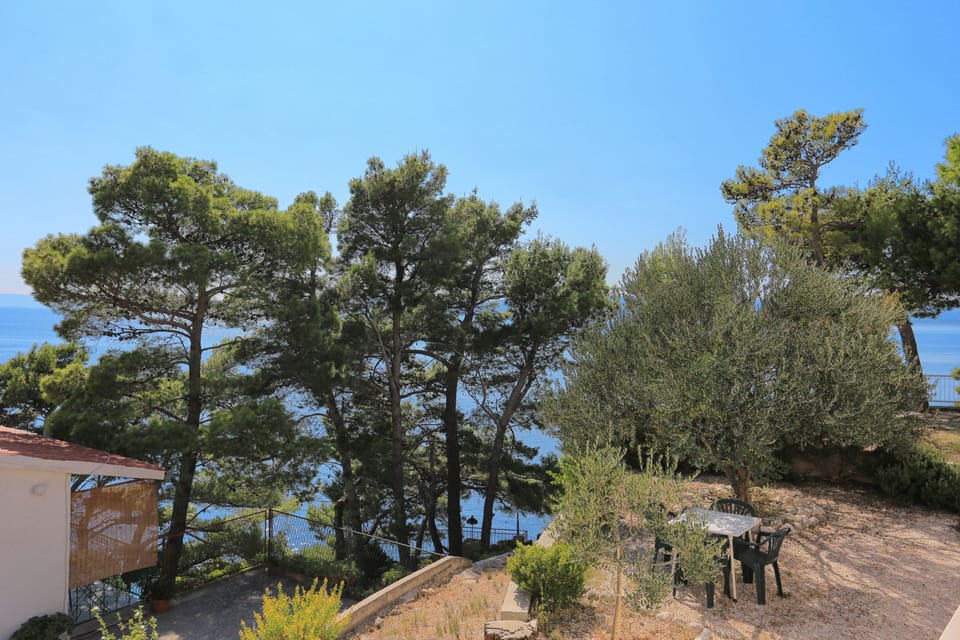 Terrace 1