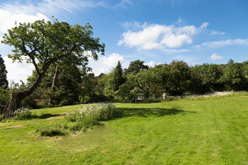 The beauty of nature surrounds Coach House
