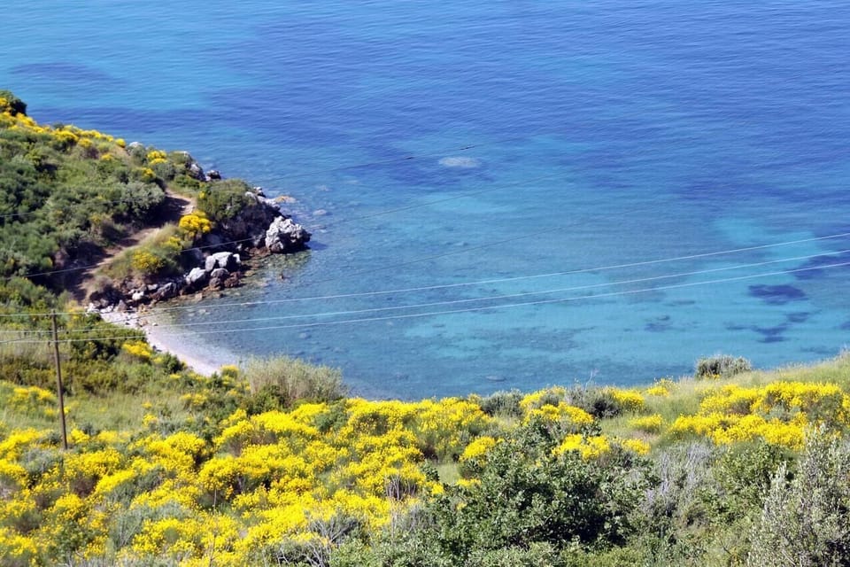 Nearby beaches