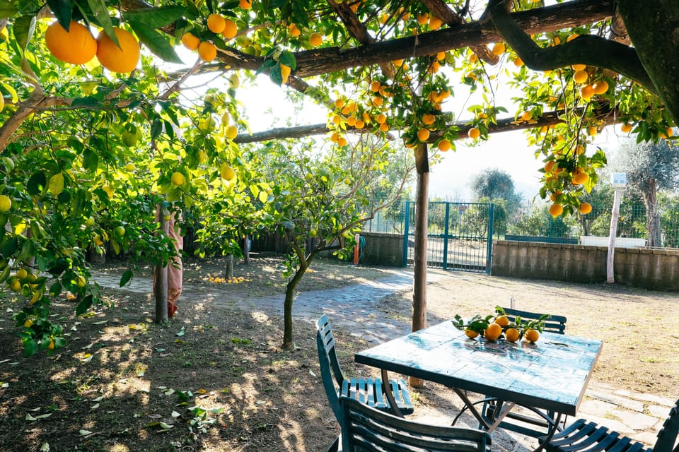 The dining table in the garden with barbecue.