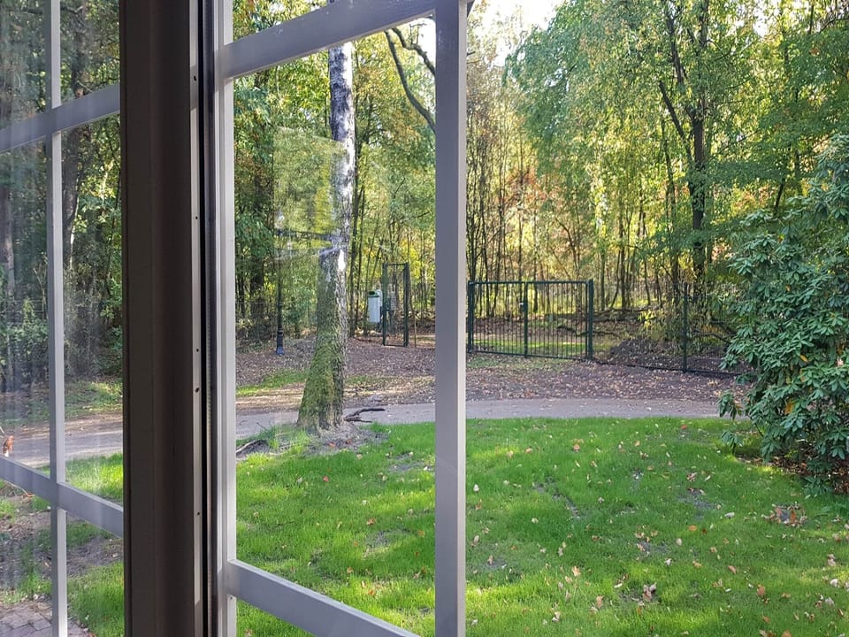 View from Holiday Home [summer]