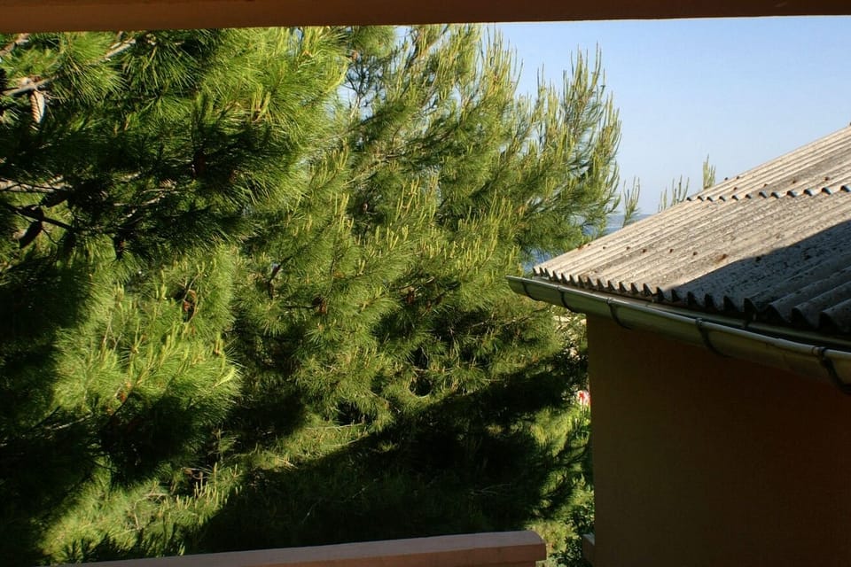 Terrace 2