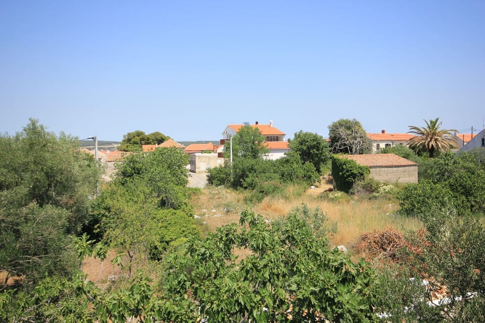 Terrace 1