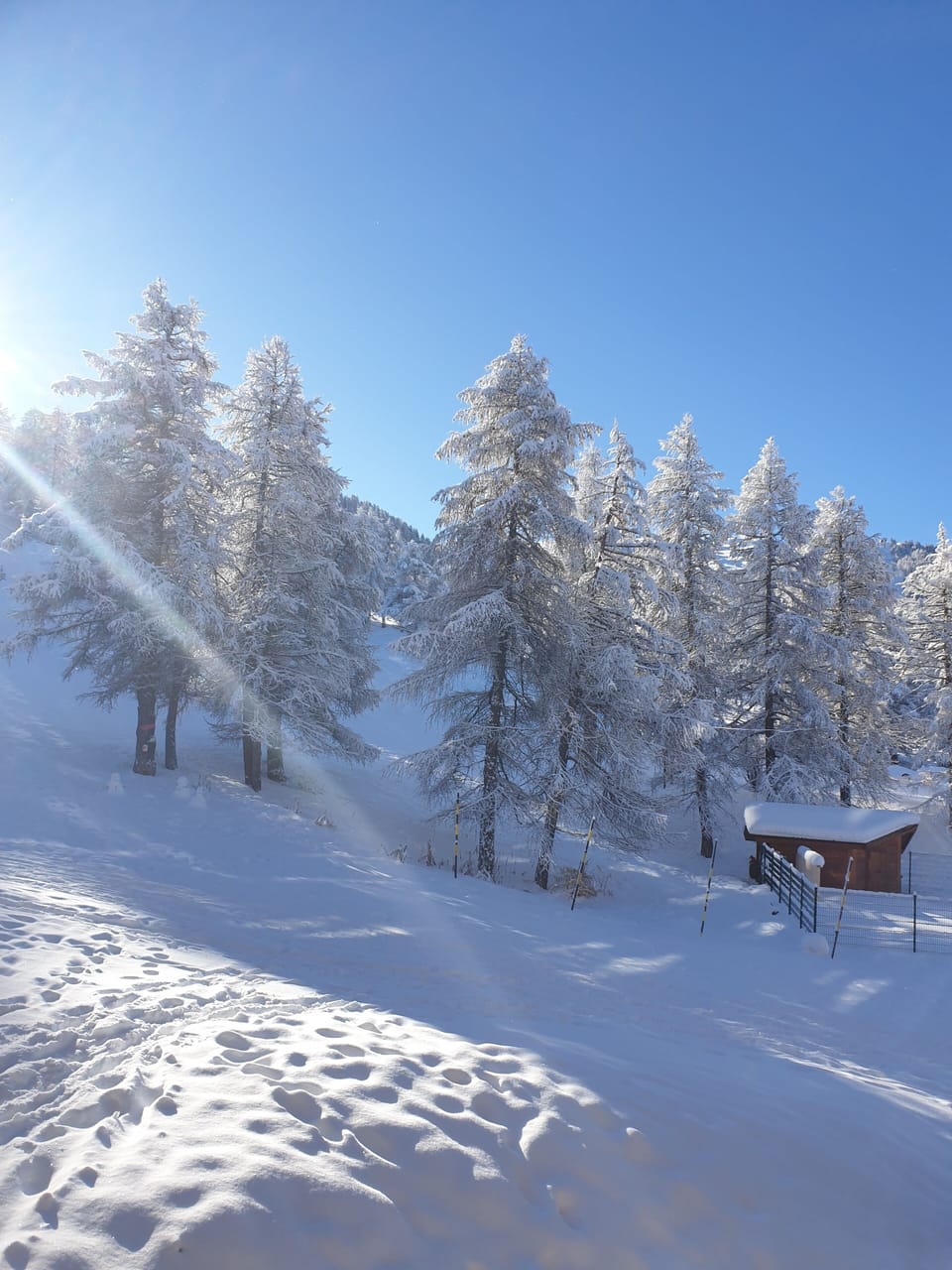 Snow and ski sports