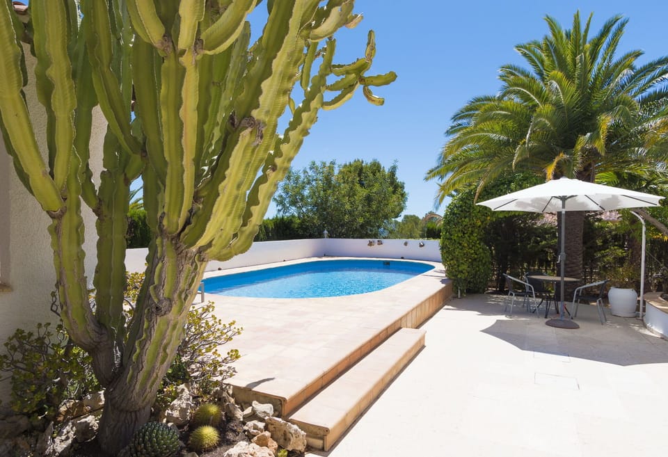 Garden and swimming pool