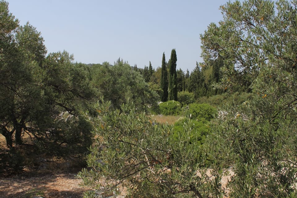 Nearest beach