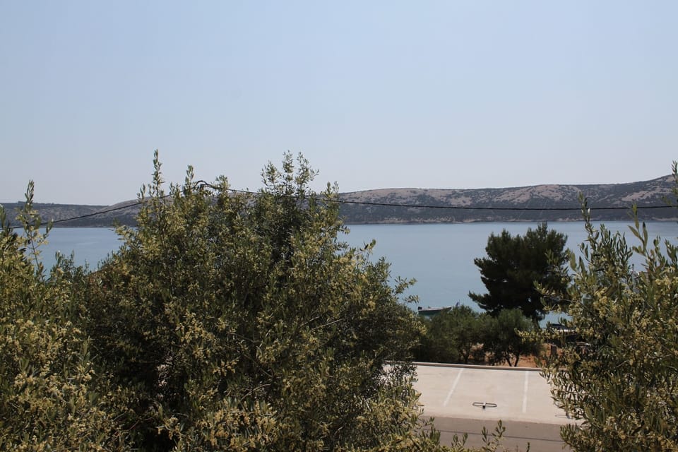 Terrace 2