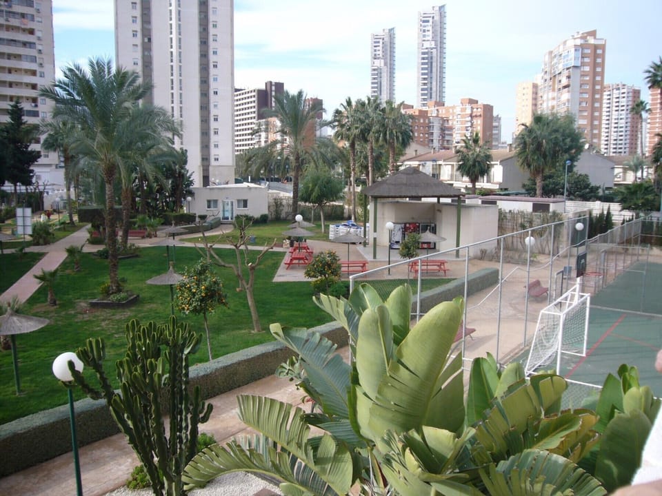 Sport court