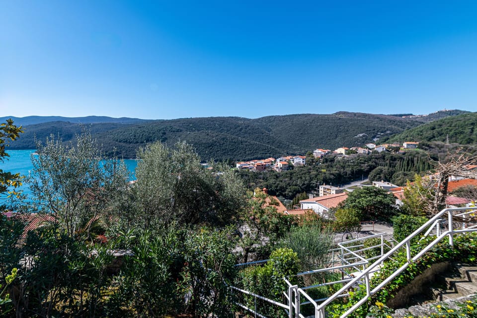 Terrace 1