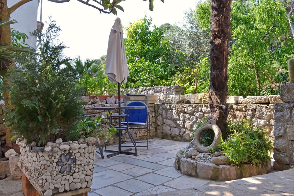 Terrace 1