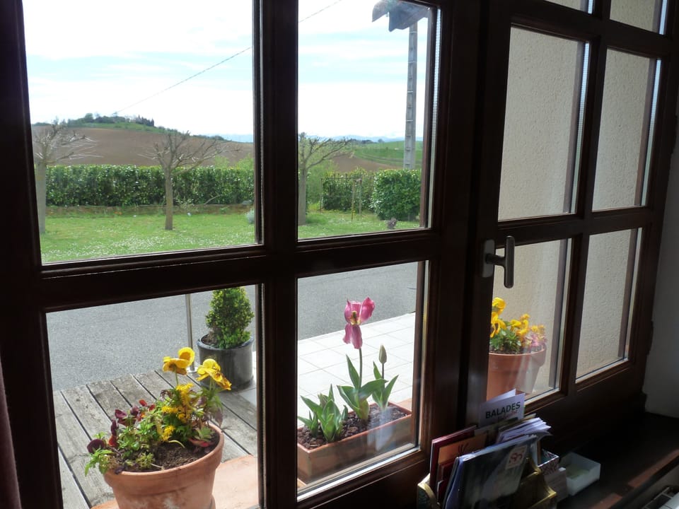 View of Front Garden from Apartment