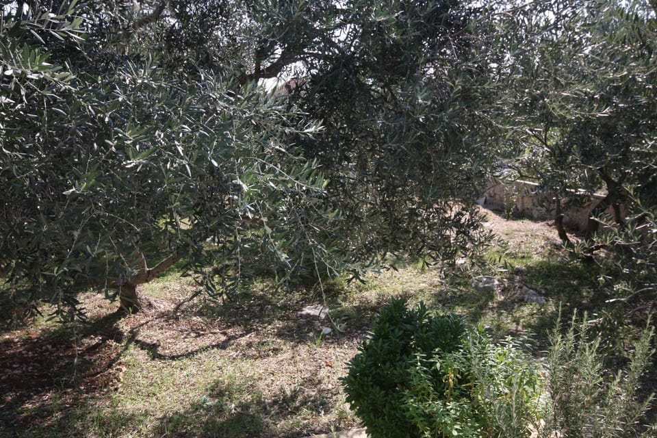 Terrace 2