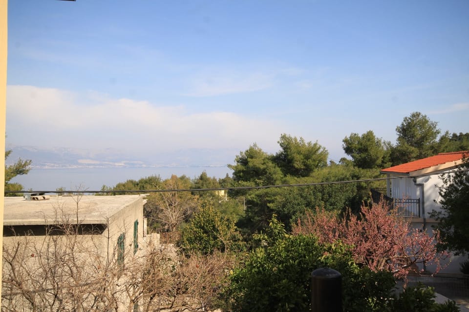 Terrace 2