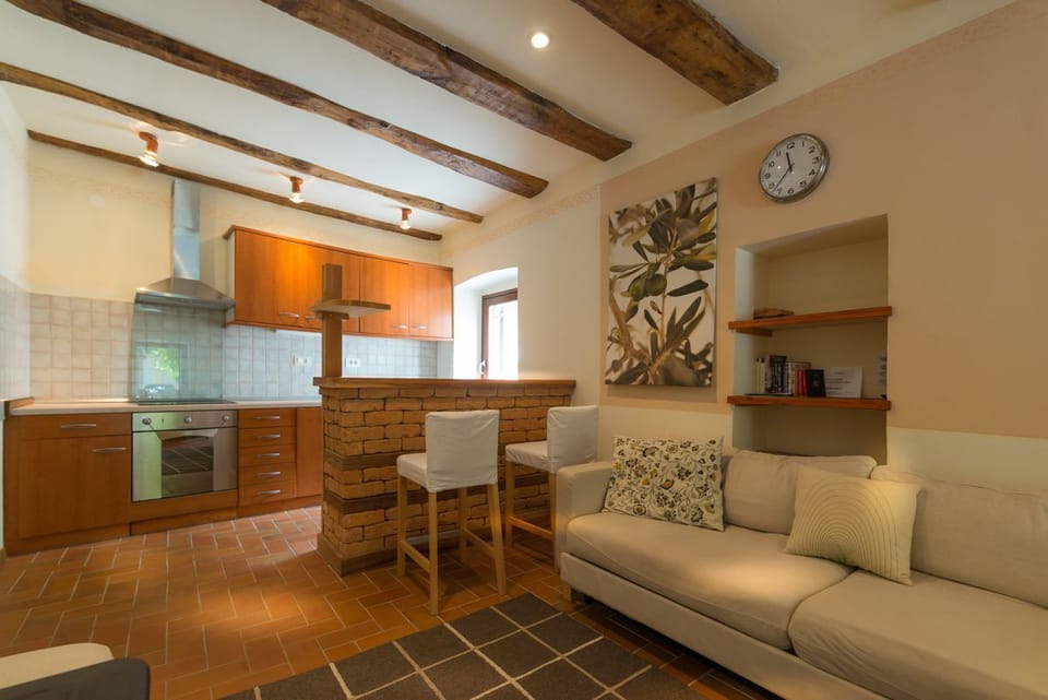 Polovnik House - living room