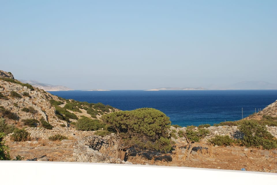 View from the terrace