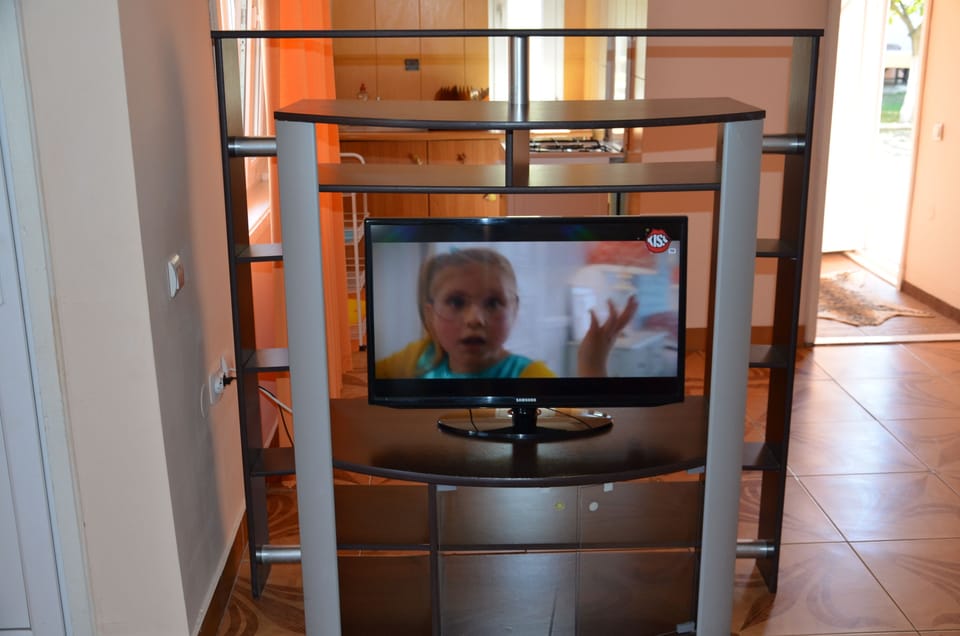 Television