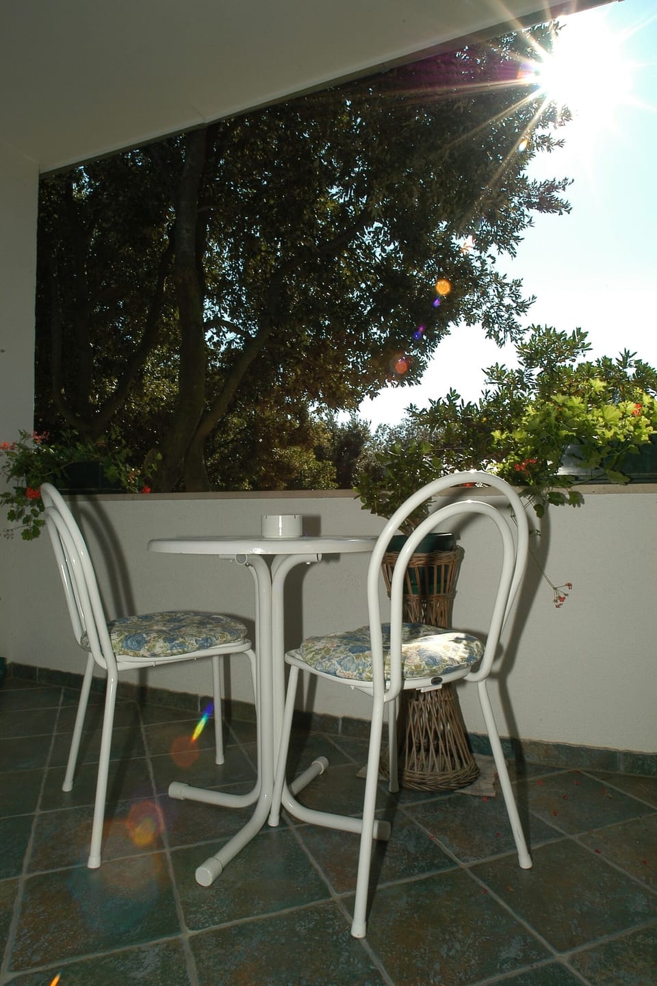 Terrace