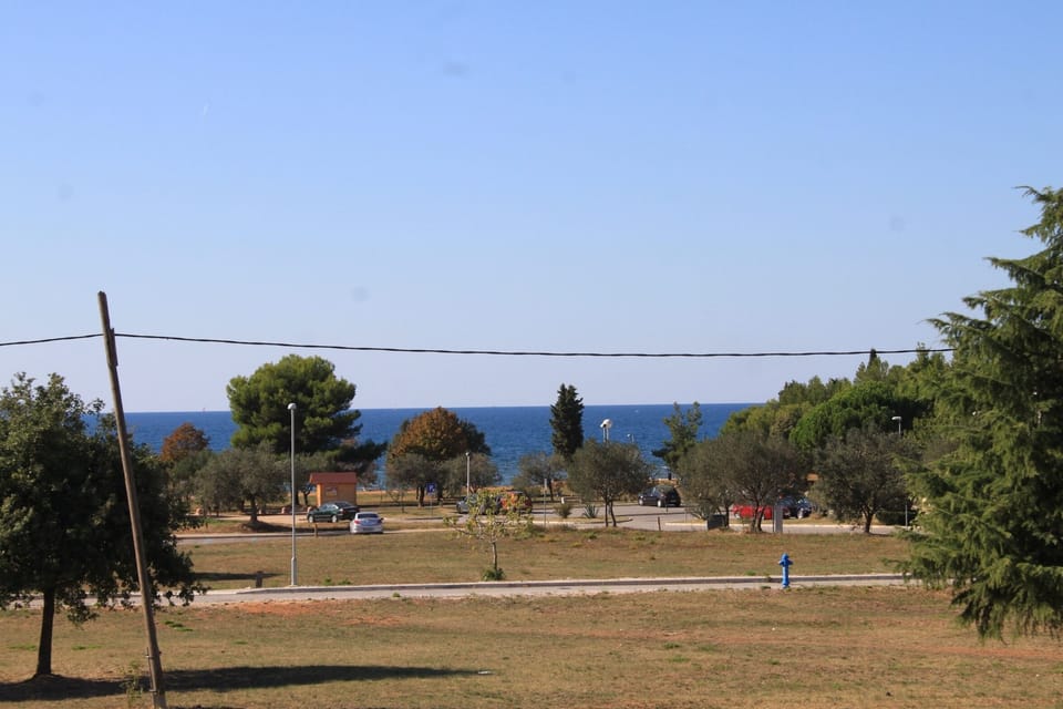 Terrace 2