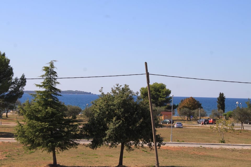 Terrace 1