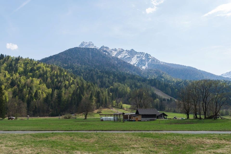 Villa Planina - view