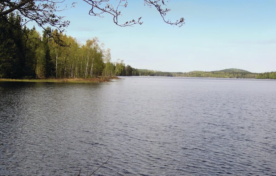 area