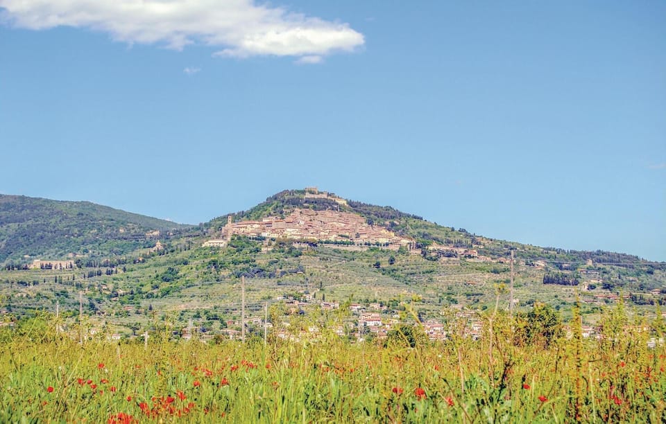 area