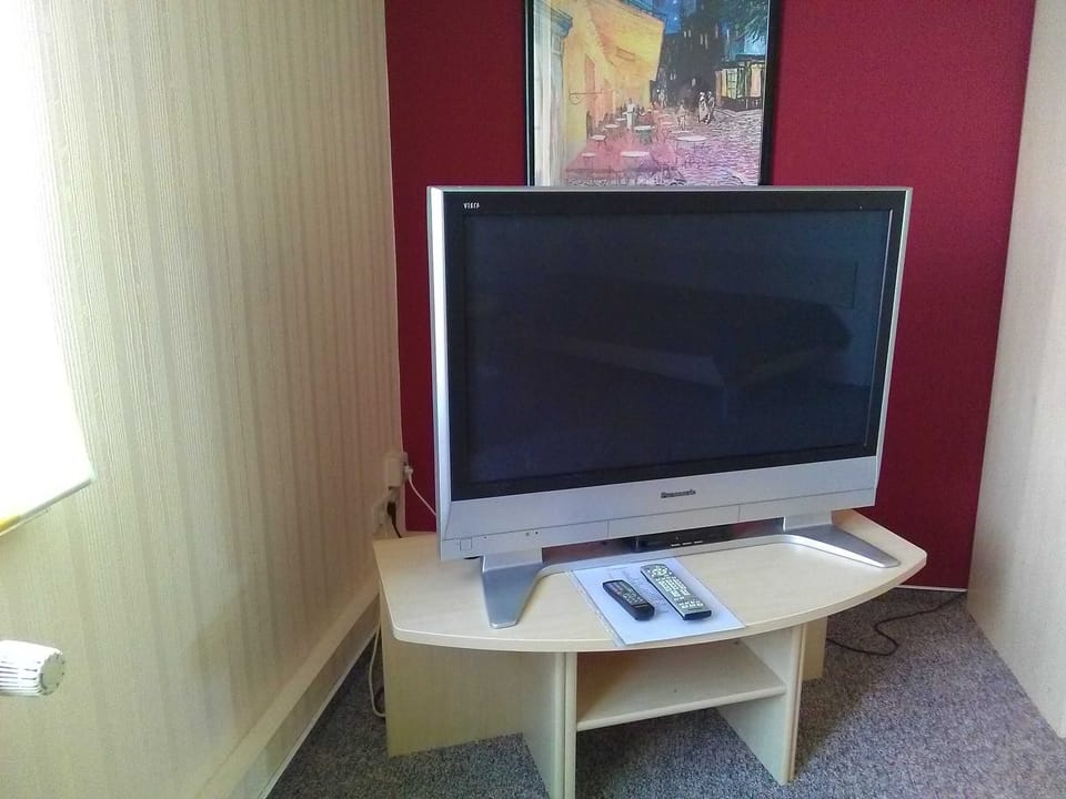Television