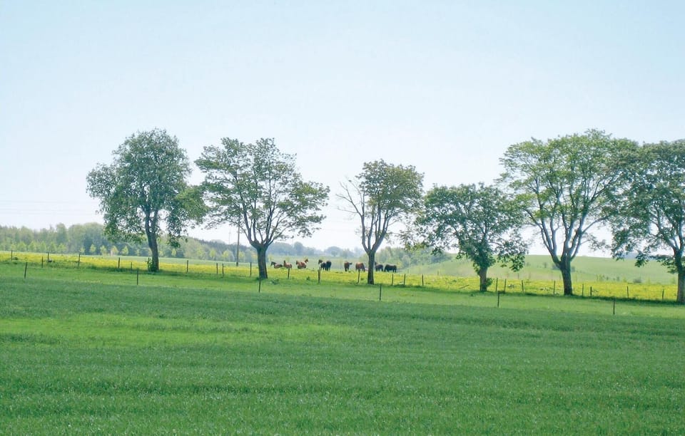 area