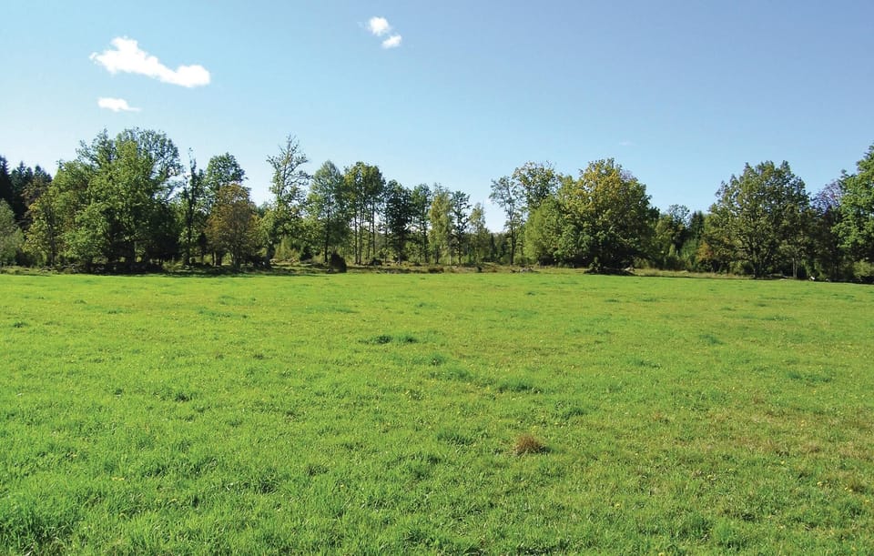 area