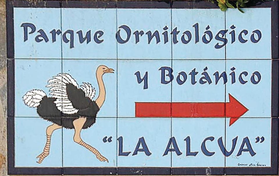area