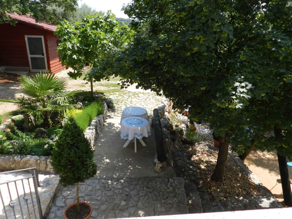 garden