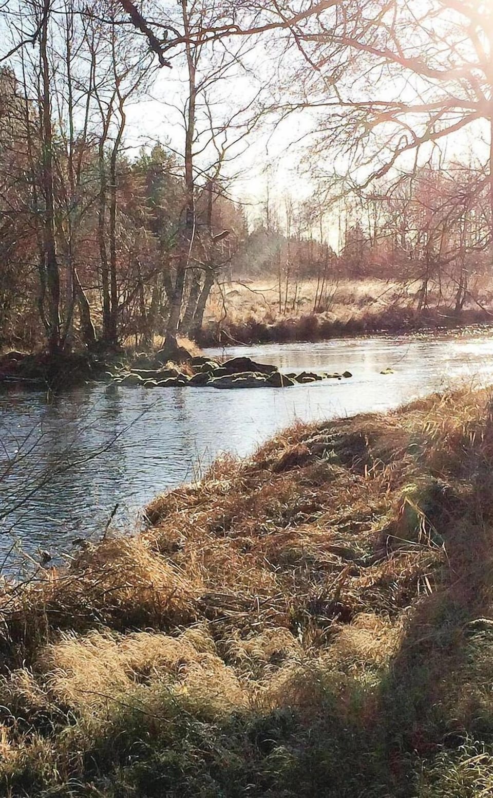 area