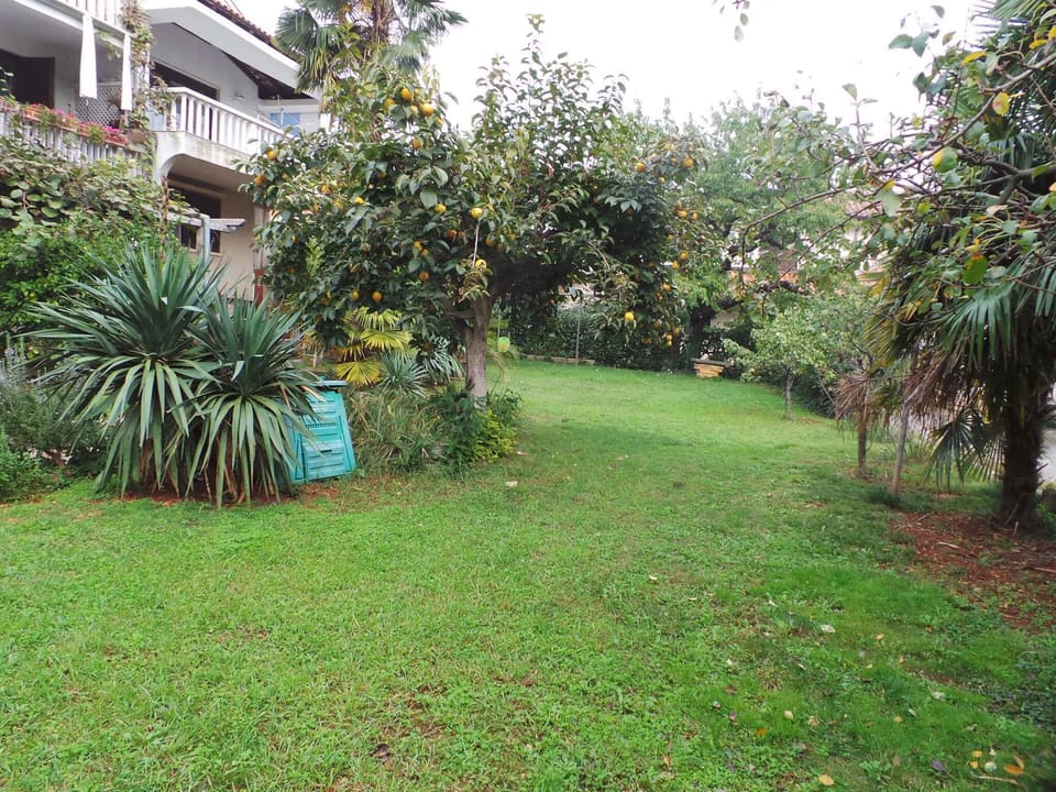 garden