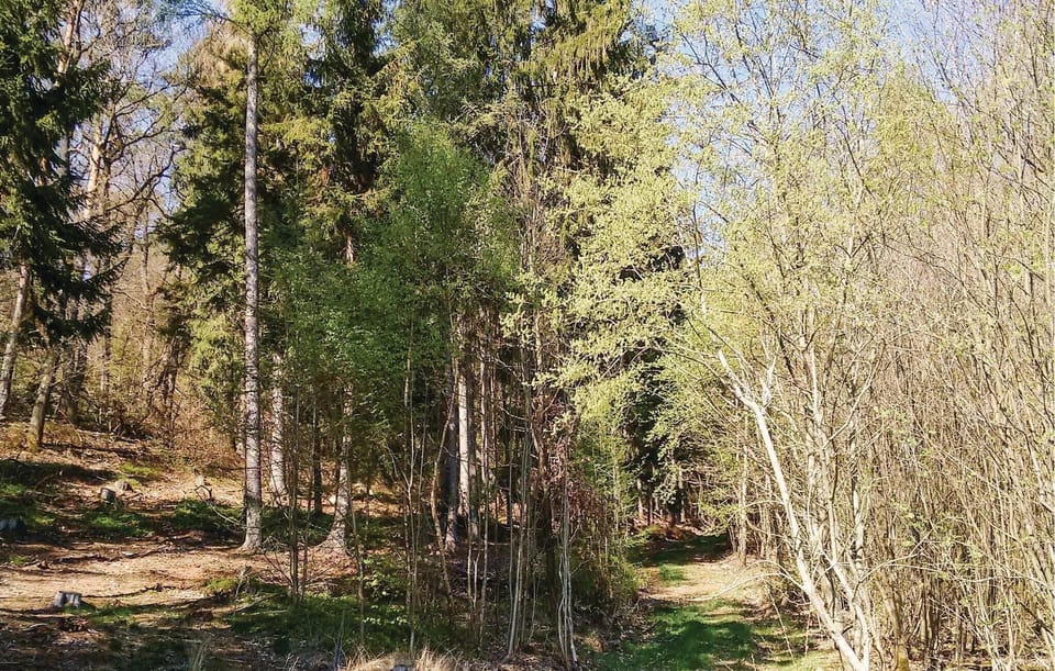 area
