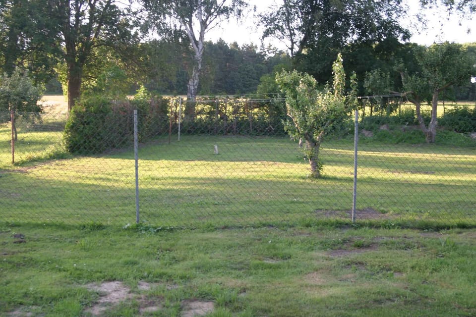 external view